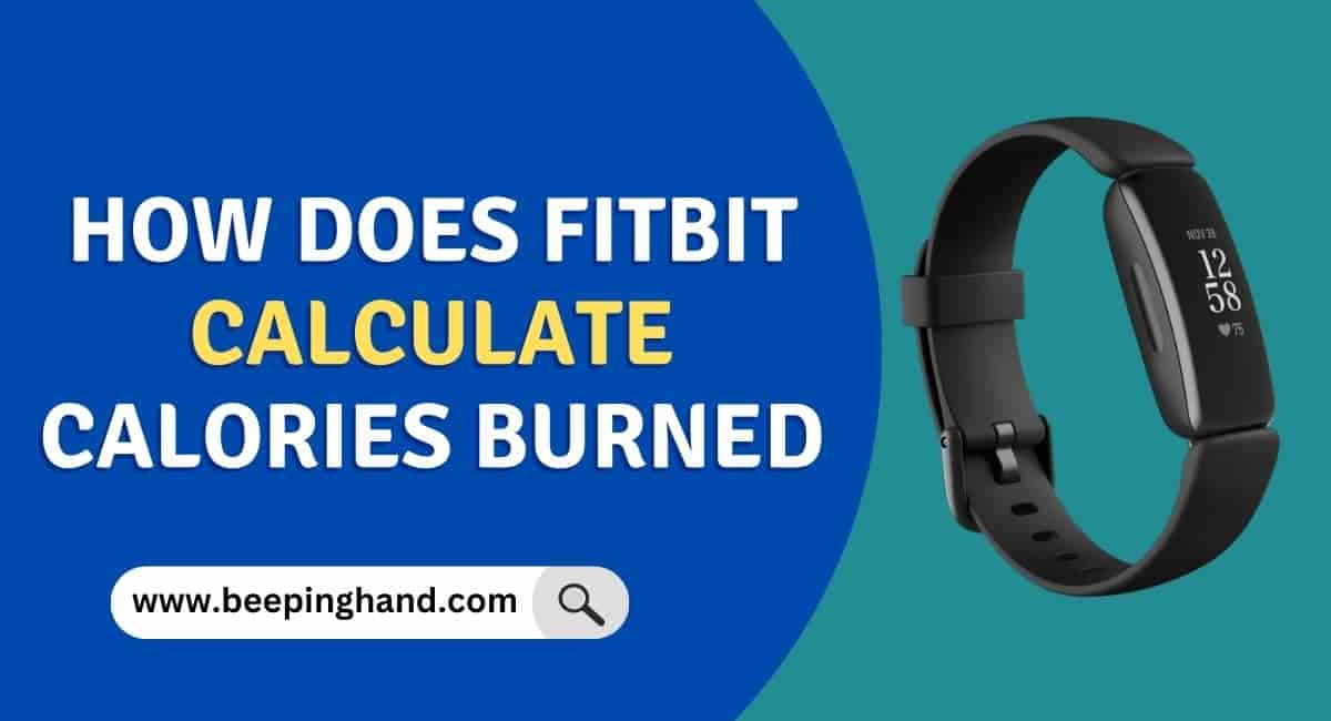 does a fitbit track calories burned